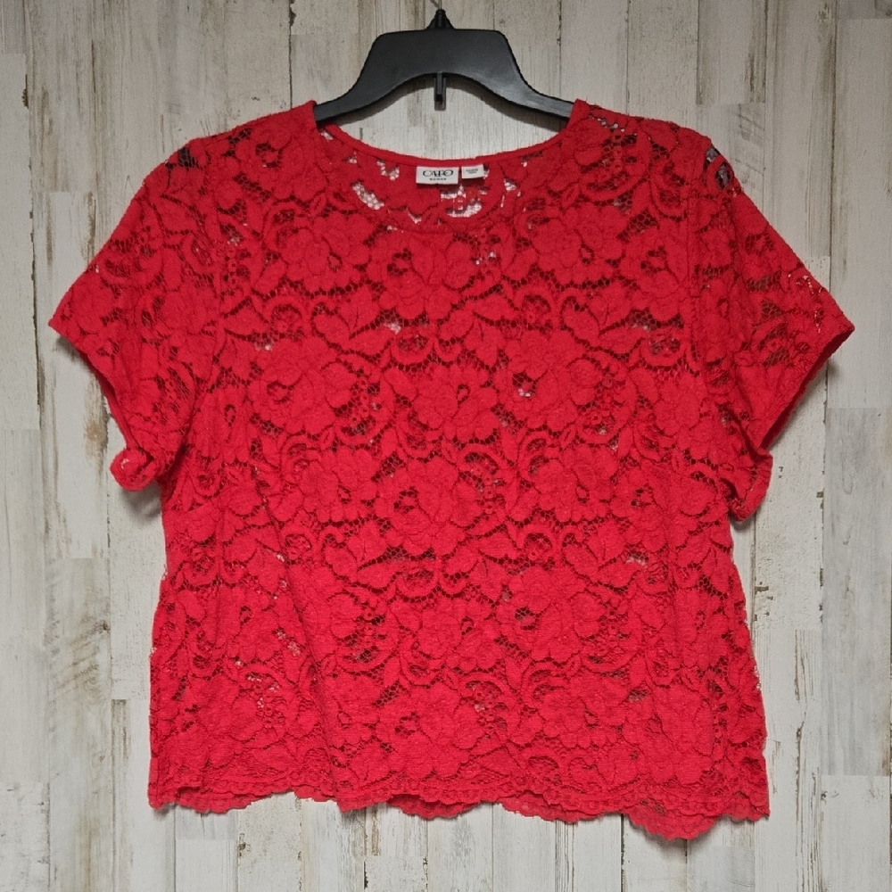 Cato Cropped  Short Sleeve lace top